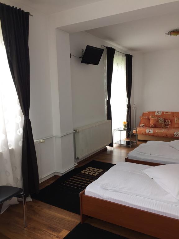 Pensiunea Silvian Cheia  Room photo