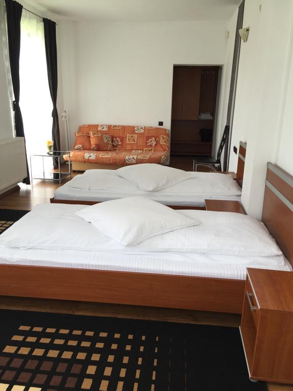 Pensiunea Silvian Cheia  Room photo